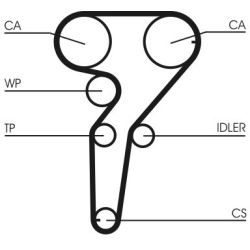  vandens siurblio ir paskirstymo diržo komplektas