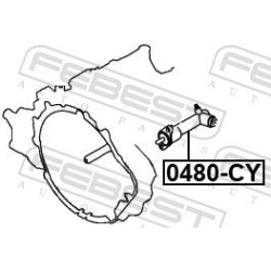  darbinis cilindras, sankaba