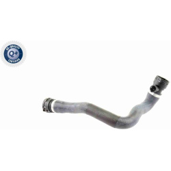  radiatoriaus žarna <small>Q+, original equipment manufacturer quality</small>