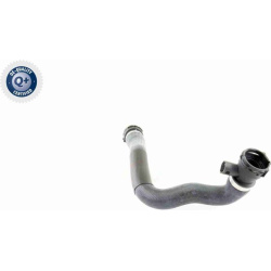  radiatoriaus žarna <small>Q+, original equipment manufacturer quality</small>