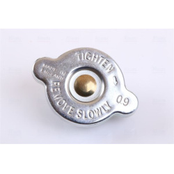  radiatorius, variklio aušinimas