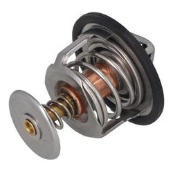  termostatas, aušinimo skystis