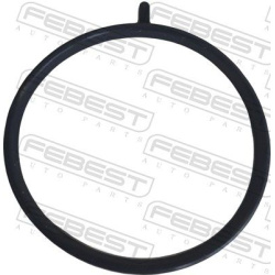  tarpiklis, droselio korpusas