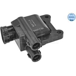  ritė, uždegimas <small>MEYLE-ORIGINAL: True to OE.</small>