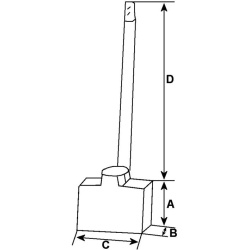  anglies šepetėlis, starteris