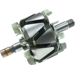  rotorius, kintamosios srovės generatorius <small>AS</small>