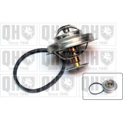  termostatas, aušinimo skystis