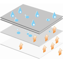  Priekab.namel.apsaug.gaubtas <small>Original VAICO Quality</small>