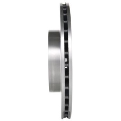  stabdžių diskas (1vnt)