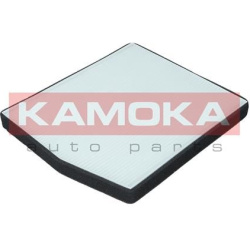  filtras, salono oras