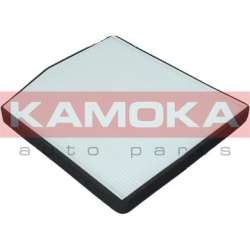  filtras, salono oras