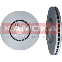  stabdžių diskas (1vnt)