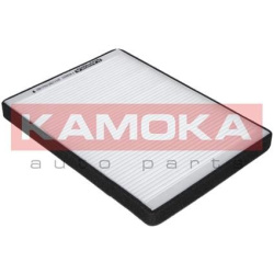  filtras, salono oras