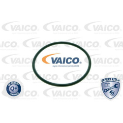  hidraulinis filtras, automatinė transmisija <small>EXPERT KITS +</small>