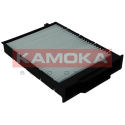  filtras, salono oras