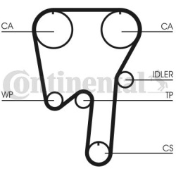  vandens siurblio ir paskirstymo diržo komplektas