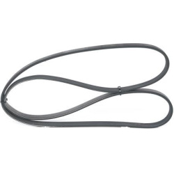  V formos rumbuoti diržai <small>„Elastic“</small>