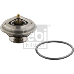  termostatas, aušinimo skystis