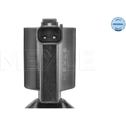  ritė, uždegimas <small>MEYLE-ORIGINAL: True to OE.</small>