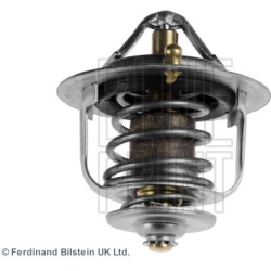  termostatas, aušinimo skystis