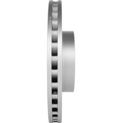  stabdžių diskas (1vnt)