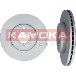  stabdžių diskas (1vnt)