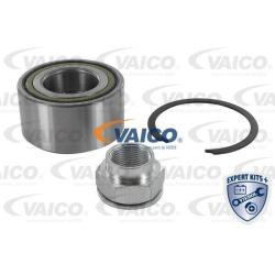  rato guolis <small>EXPERT KITS +</small>