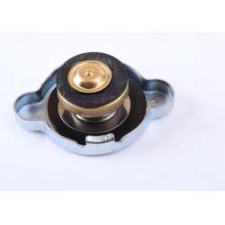  radiatorius, variklio aušinimas