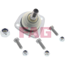  Šarnyras / girgždukas