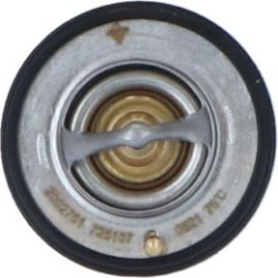  termostatas, aušinimo skystis <small>EASY FIT</small>