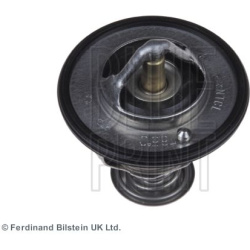 termostatas, aušinimo skystis