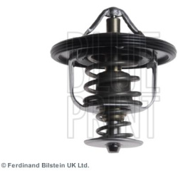  termostatas, aušinimo skystis