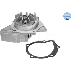  Vandens siurblys, variklio aušinimas <small>MEYLE-ORIGINAL: True to OE.</small>