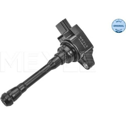  ritė, uždegimas <small>MEYLE-ORIGINAL: True to OE.</small>