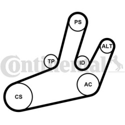  V formos rumbuotas diržas, komplektas