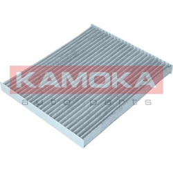  filtras, salono oras