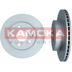  stabdžių diskas (1vnt)