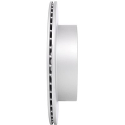  stabdžių diskas (1vnt)