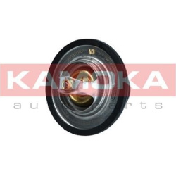  termostatas, aušinimo skystis