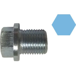  alyvos išleidimo kaištis, alyvos karteris