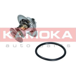  termostatas, aušinimo skystis