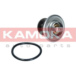  termostatas, aušinimo skystis