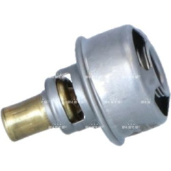  termostatas, aušinimo skystis