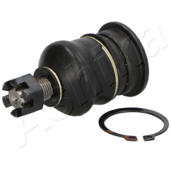 Šarnyras  Šarnyras