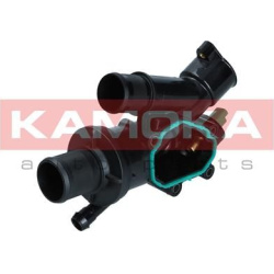  termostatas, aušinimo skystis