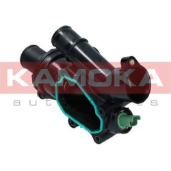  termostatas, aušinimo skystis