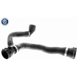  radiatoriaus žarna <small>Q+, original equipment manufacturer quality</small>