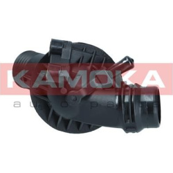  termostatas, aušinimo skystis