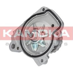  Vandens siurblys, variklio aušinimas