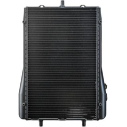  radiatorius, variklio aušinimas <small>BEHR *** PREMIUM LINE ***</small>